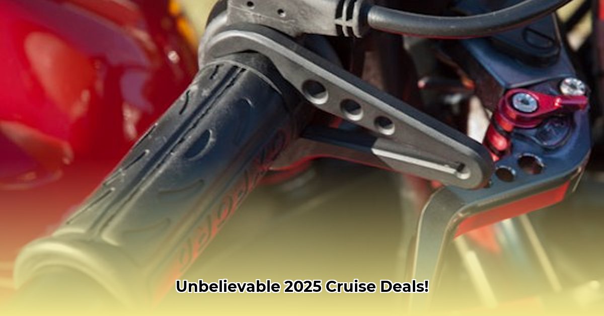 gocruise